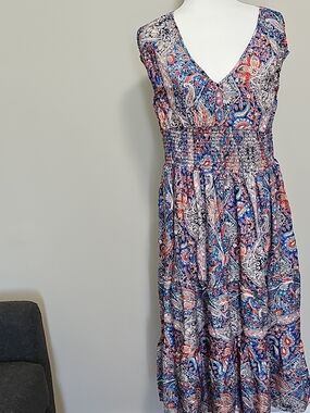 Sleeveless V-Neck Paisley Maxi Dress in Blue and Pink